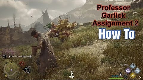 Professor Garlick Assignment 2 (Guide)