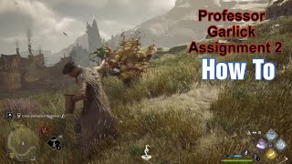Professor Garlick Assignment 2 (Guide)