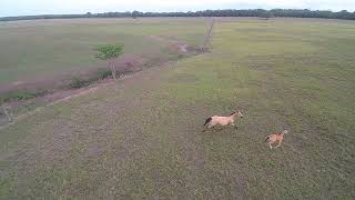 FINCA VILLA VIEJA part 1 FINCA VILLA VIEJA part 1