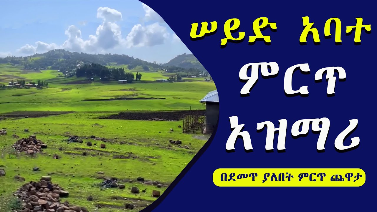 ሠይድ አባተ #ምርጥ አዝማሪ