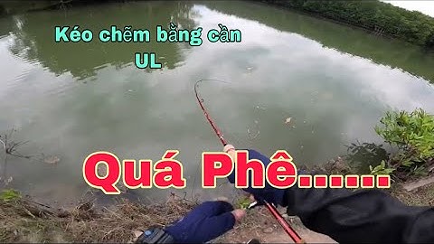 Câu cá chẽm Phước An - Cần UL câu chẽm lá bao phê