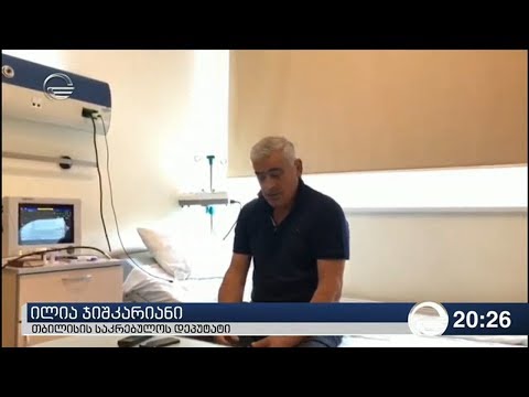 ილია ჯიშკარიანს გირაო შეეფარდა