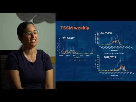 Twospotted Spider Mite Management in Organic Strawberries, by Dr. Elena Rhodes