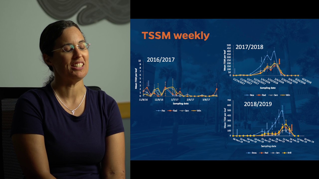 Twospotted Spider Mite Management in Organic Strawberries, by Dr. Elena Rhodes
