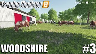The Cows Are Here! - Woodshire Timelapse #3 | Farming Simulator 19 Timelapse