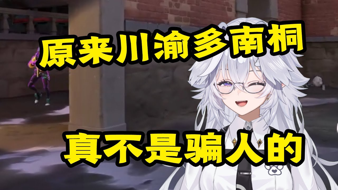 本来以为你是假的南桐原来你是真南桐的鸭！