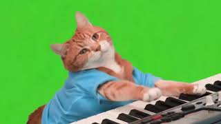 Футажи для видеомонтажа Кот играет на синтезаторе The cat plays the synthesizer Green Screen