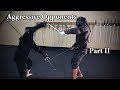 Aggressive opponents part ii  learning sword fighting