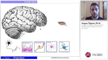 Single-Cell Isoform Analysis of the Nervous System