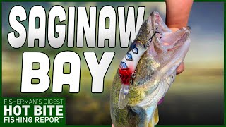 Saginaw Bay Walleye Fishing Report & Monroe Report!