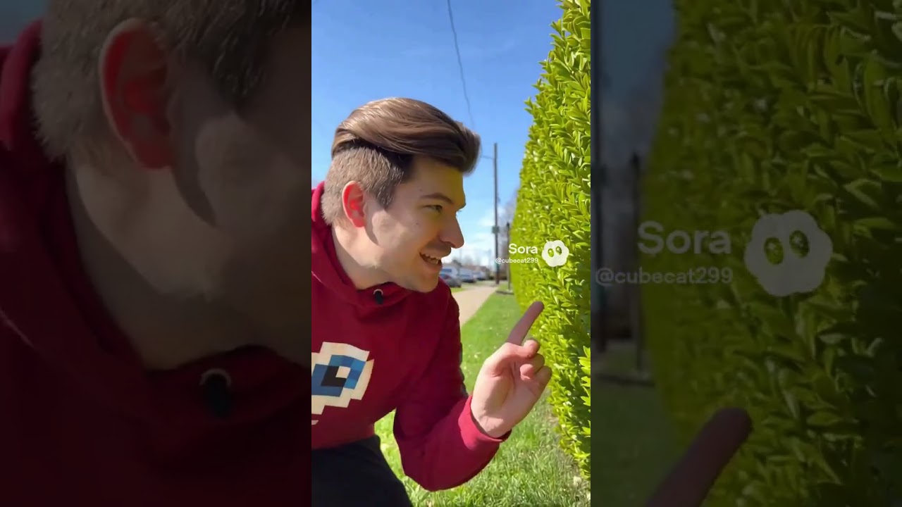 Фиксай и Мявл играют в прятки 