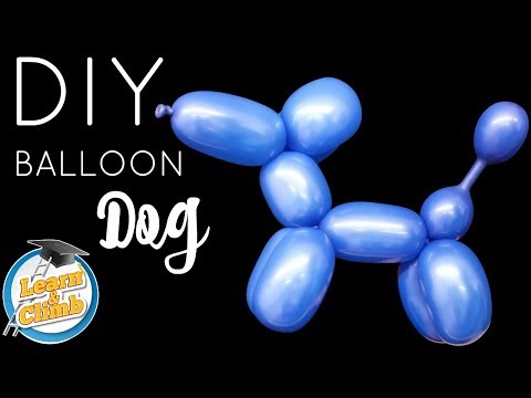 EASY BEGINNER DOG BALLOON TUTORIAL - LEARN AND CLIMB DIY BALLOON KIT