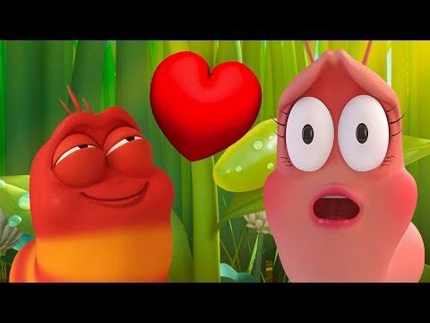 LARVA - <strong>RED</strong>&amp;#39;S <strong>BIG</strong> CHANCE | Cartoons For Children | LARVA Official