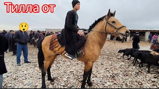 ТОГ ЭТАГИДАГИ САРИОСИЁ ОТ БОЗОРИ 🐎🐎🐎