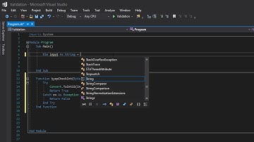 Visual Basic Validation: Integer Type Check