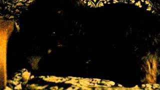 DSCN2529.AVI