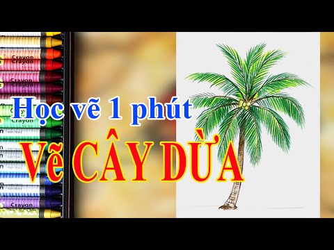 Video Một phút học vẽ_ Vẽ cây dừa l NC Plan #Shorts - youtube
