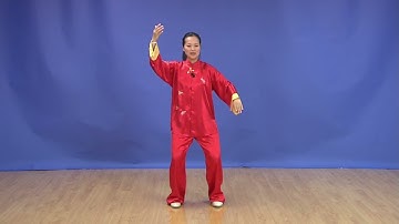Yang-Style Tai Chi 13 Form - Forms 1-3   楊式太極拳十三式 - 第1-3式 領練
