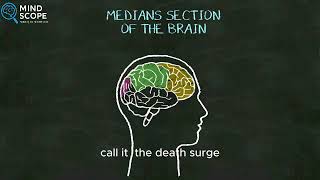 What Happens Inside Your Brain The Moment You Die (Scientists Are Stunned)