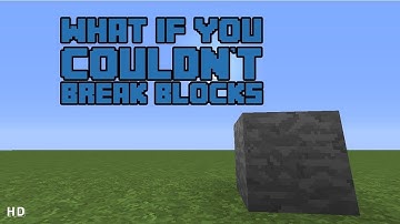 Minecraft: 8 Situations If You Couldn