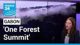 'One Forest Summit' in Gabon: What to expect? • FRANCE 24 English