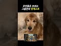 담담하게 갈라치기하는 리트리버 [팟개스트 ep.17]