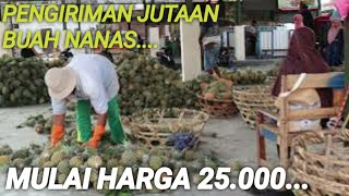 Pasar Nanas terbesar di blitar || pasar patok Nanas murah.