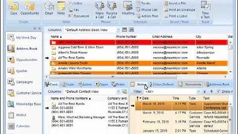 Maximizer CRM 11 Dashboard