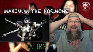 ANIMAL SUGGEGESTED SONG!!!     Maximum the Hormone Alien!!!