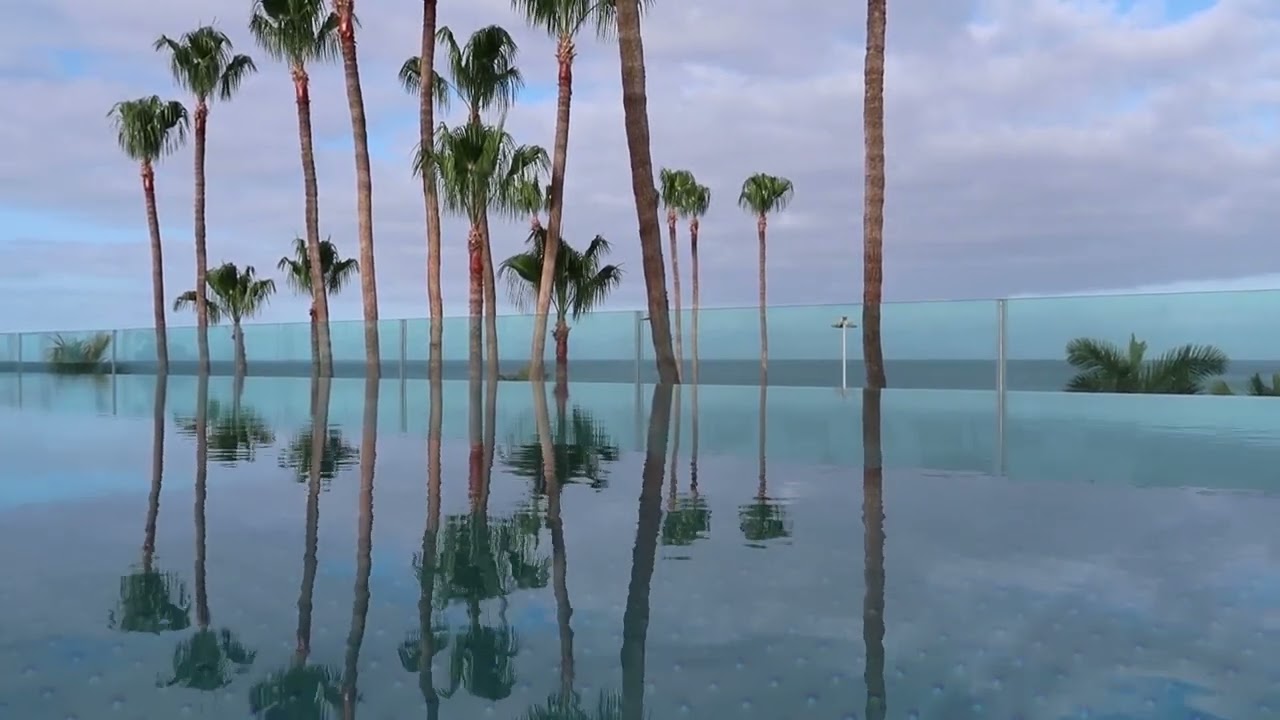 Infinity swimming pool with palm tree reflections