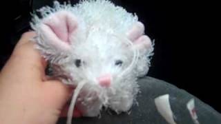 Webkinz Randomness On The Road Random Raining Xd