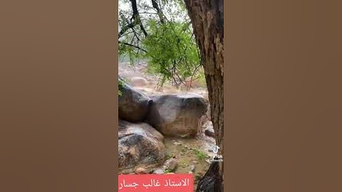 تلاوة تعالج الجرواح بصوت هادئ للقارئ غالب جسار ( ارح قلبك )