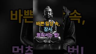 바쁜 일상속, 잠시 멈춰서는 법! #명상 #힐링 #자연 #꽃 #고요함의지혜 #마음챙김 #자연명상 #에크하르트톨레 #인생명언 #심리안정