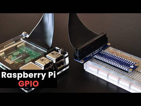 Raspberry