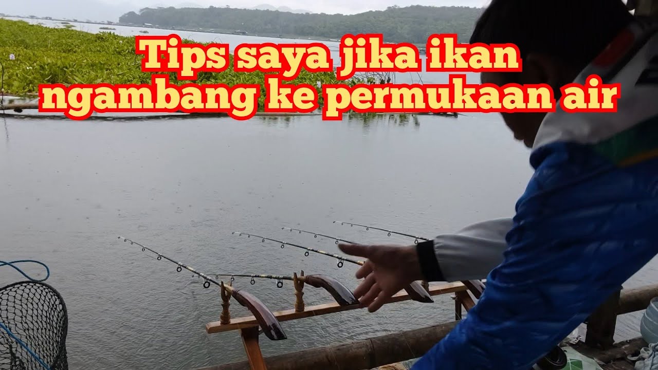 ikan rudet, begini cara saya atasi ikan ngambang ke permukaan air. #mancingliar