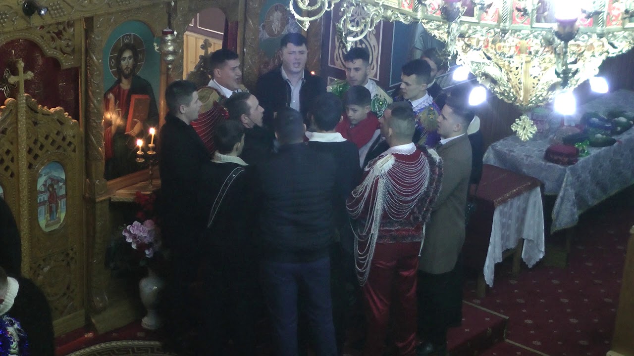 VIFLAIMUL DIN BISTRA - 2021