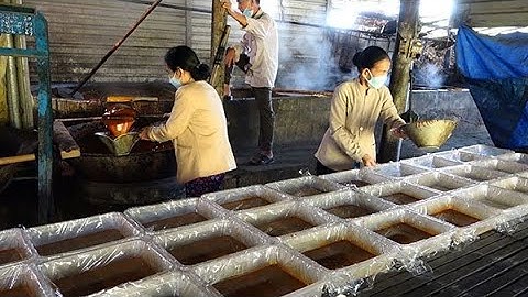 Gia đình duy nhất còn giữ nghề nấu mía đường thủ công ở Bình Lợi