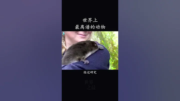 世界上最离谱的动物，拥有25种性别#shorts - 天天要闻