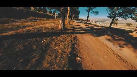 Best Cinewhoop [ PID Tuning ]