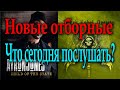 Новые отборные 🔊 Что сегодня послушать? (Ayron Jones...