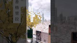 #taipeitravel 台北遠東香格里拉的101景觀超豪華客房有18坪，有三大片窗戶，採光好的不得了，躺在床上就可以欣賞台北101！#台北飯店 #台北景點 #shangrilataipei