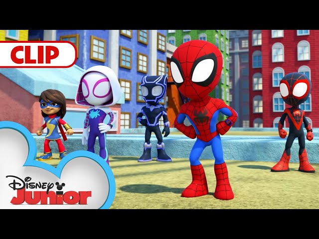 Ms. Marvel u0026 Black Panther | Compilation | Marvel's Spidey and his Amazing Friends | @disneyjunior class=