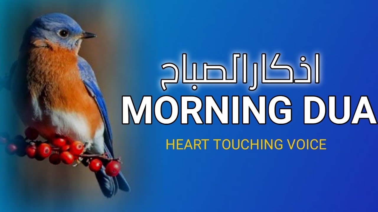 MORNING DUA FOR BLESSINGS EP 129| Rizq | Protection | Peace | Barakah #MorningDua #Blessings #Dhikr