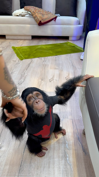 Still thinking about her 🥺😭 #latto #somebody #bigmama #dubai #shorts