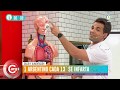 Cómo prevenir Infartos - Diego Sivori