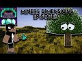 I....NEED.....WOOD!!!-Miners Dimension's SMP Episode:1