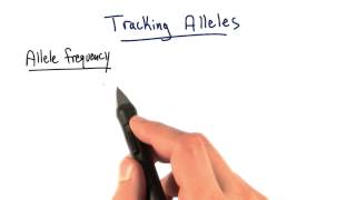 Allele Tracking - Tales from the Genome