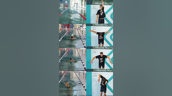 Техника плавания всех стилей / Swimming Technique