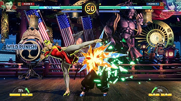 Chun Li vs Hotaru (High Level Gameplay) - Fatal Fury City of the Wolves