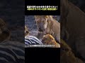 猛毒で狩りの力を失う母ライオン！ 3頭の子ライオンを救う緊急治療！ #ブラックマンバ #ライオン #野生動物のサムネイル
